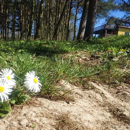 Agrosfera Dom Relaksacyjny *