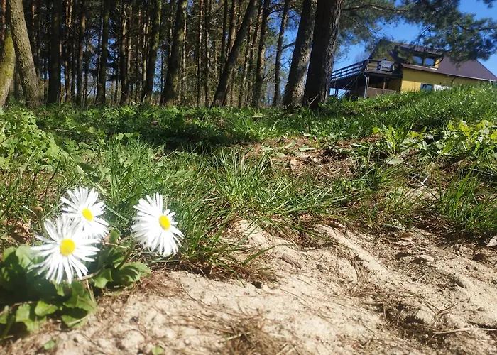 Dom Relaksacyjny Na Mazurach Zachodnich *